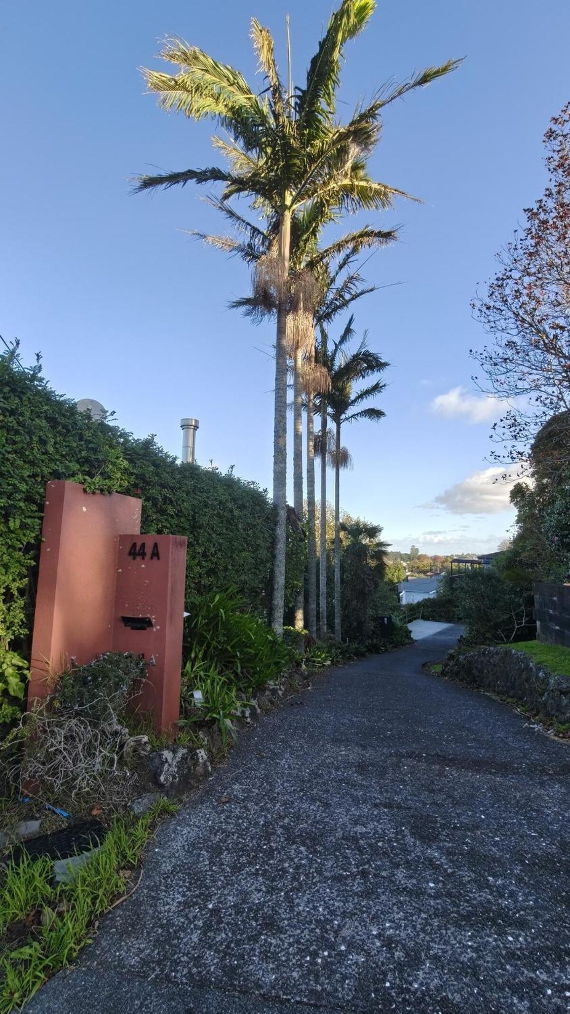 오클랜드 Hidden Oasis In Epsom With Panoramic View 빌라 외부 사진